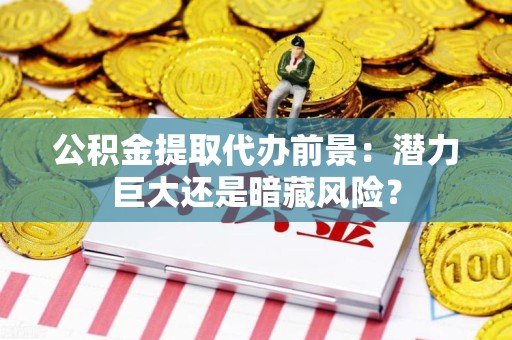 南平公积金提取代办前景：潜力巨大还是暗藏风险？